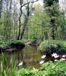 wandelroute-de-herdgang