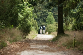 gps-wandelroute-rovertse-heide-esbeek