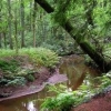 Wandelroute 'Langs de Roovertsche Leij'