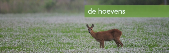 De Kempische Landgoederen